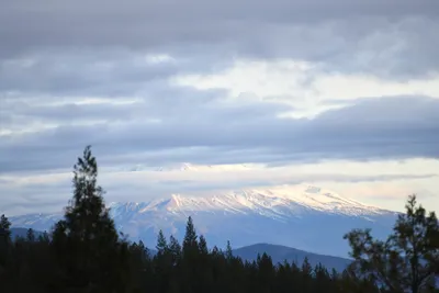 DSC_0092 (Large).JPG